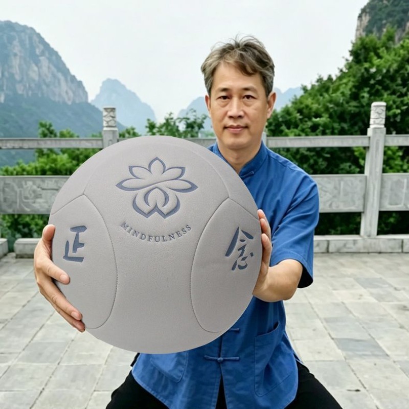 Bola de Saúde Tai Chi Grande e - Yoga Fitness Health avaliação e preço